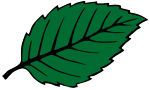Life-Link Friendship Schools
